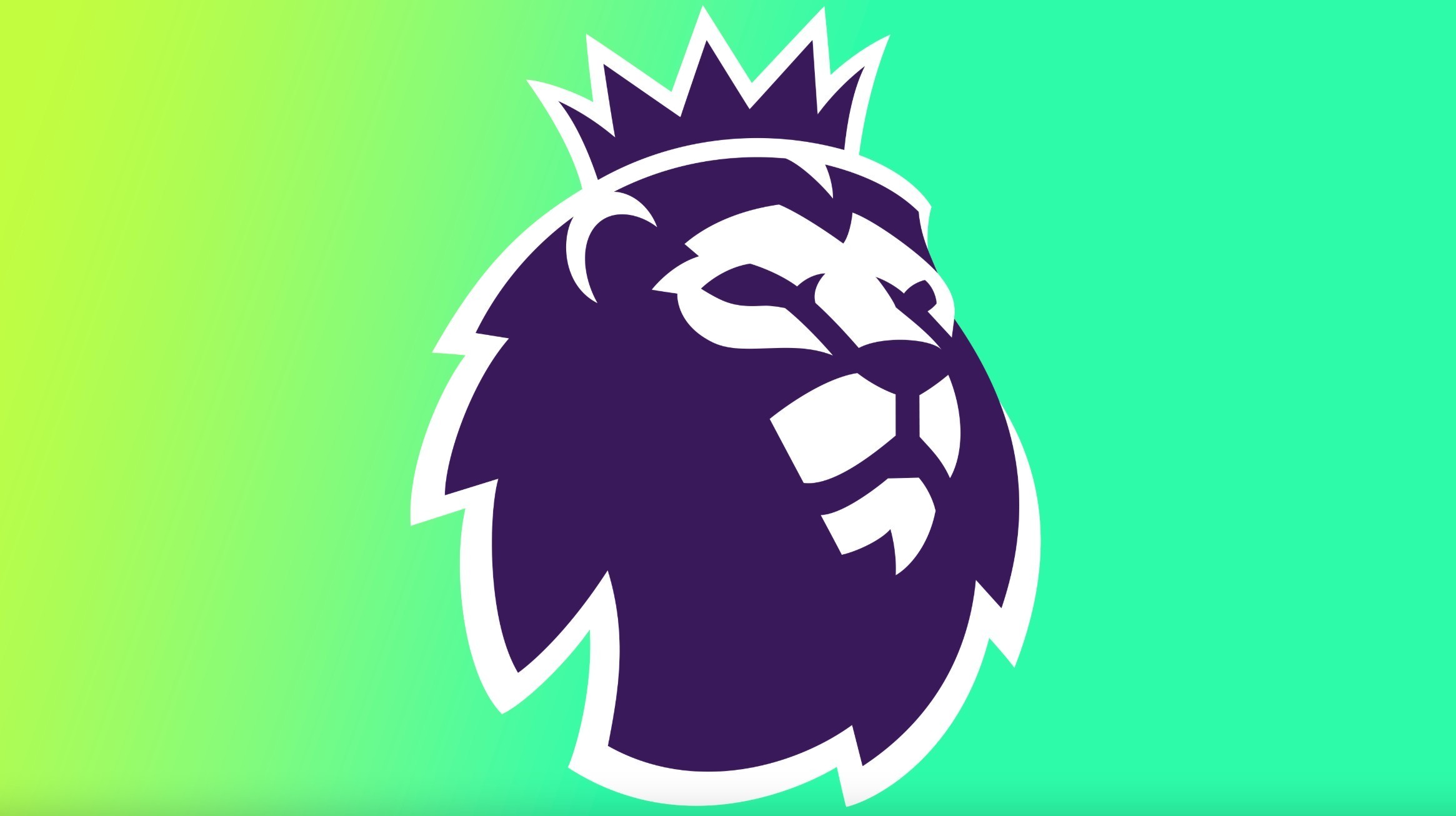 这场精彩的 这场精彩的