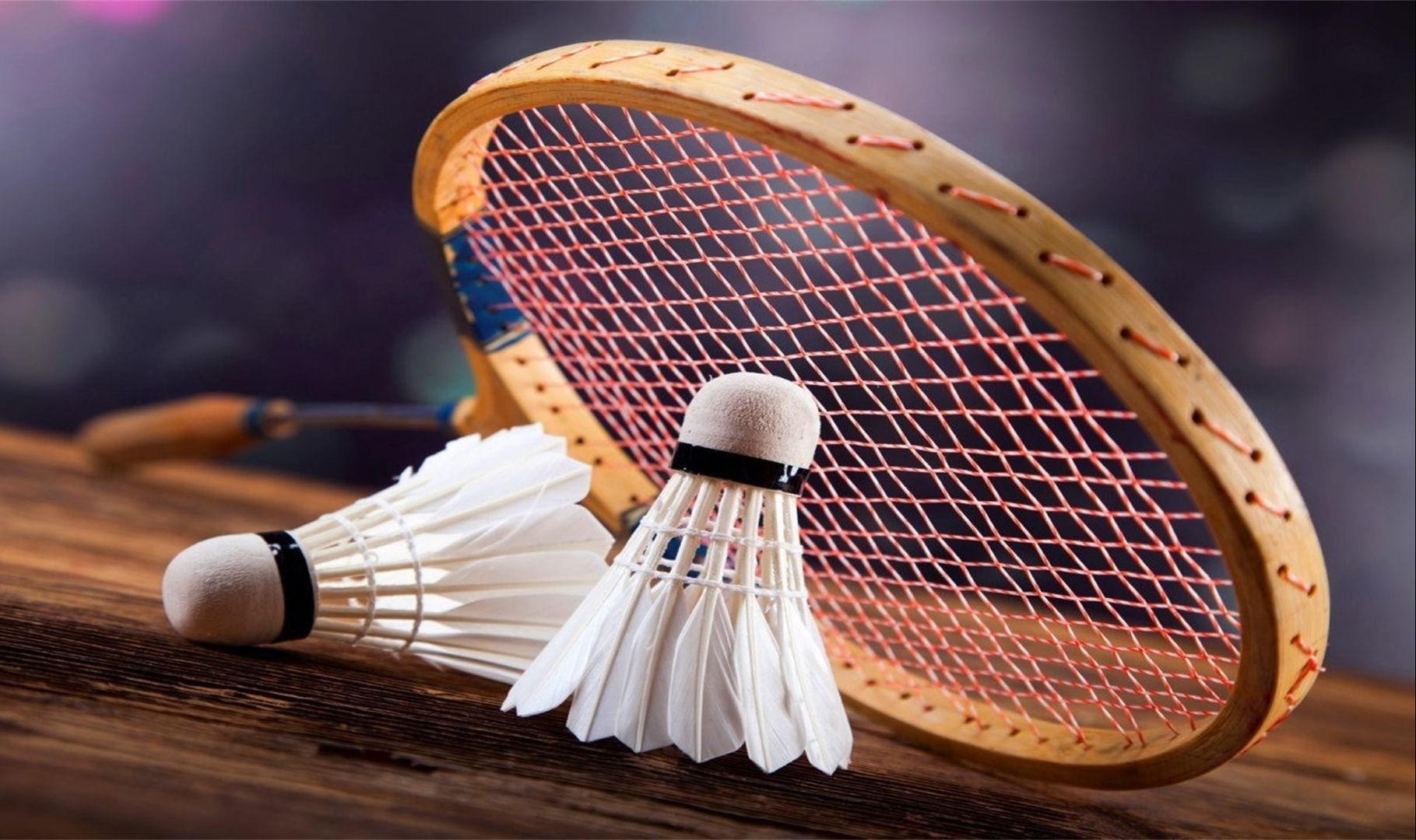 力上的差距 力上的差距