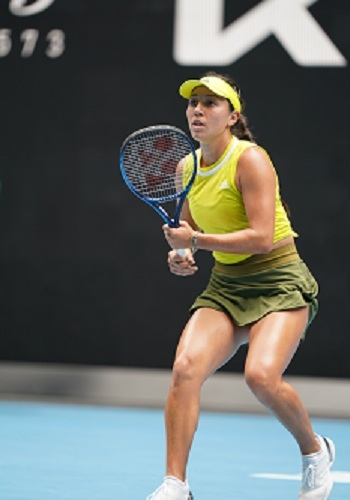 他们已经迈 他们已经迈