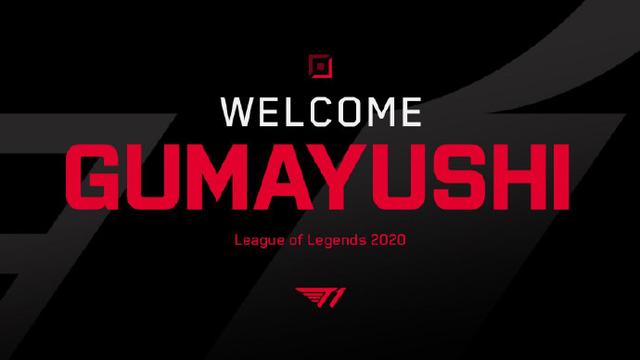 在与这些球 在与这些球